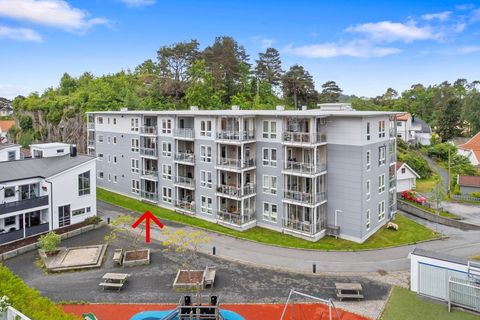 Konkoigata 8E, Mandal