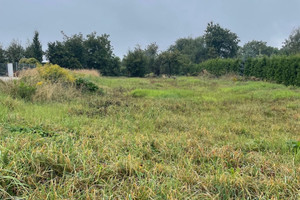 Michałowice