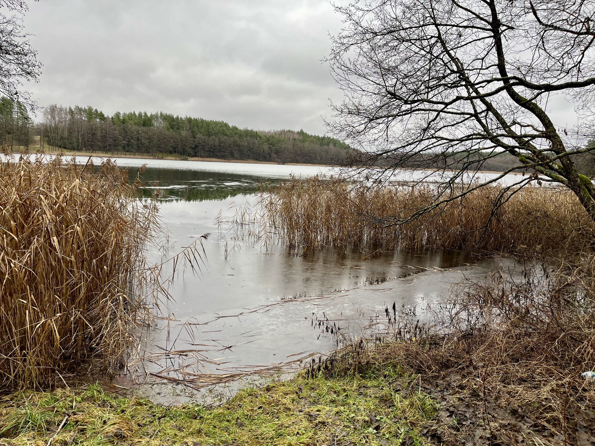 Druskininkų sav., Liepiškių k. Liškiavio g.
