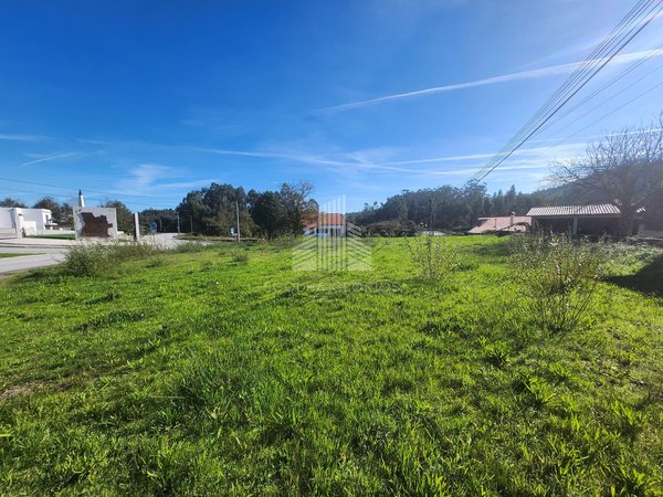 Oliveira de Frades,  PT