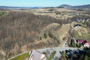 Wiśniowa
