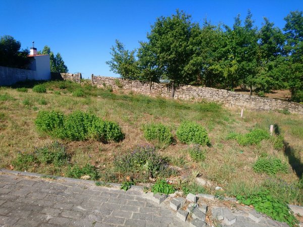 Oliveira de Frades,  PT