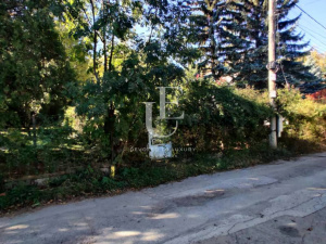 Sofia, Simeonovo