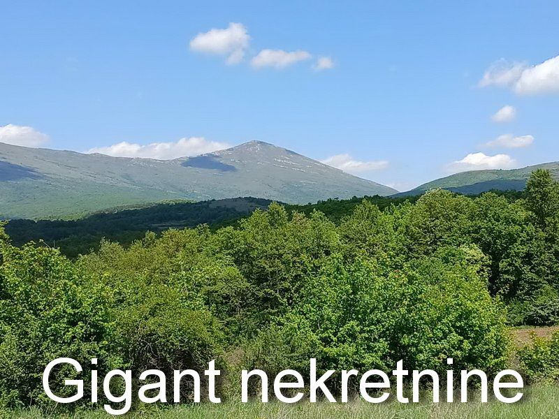 Zajecar District, Sokobanja