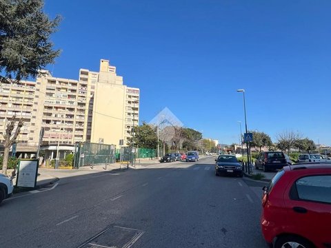 Naples,  IT