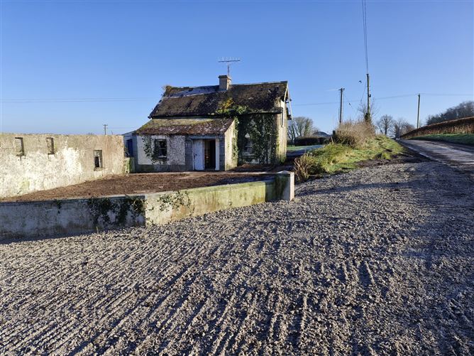 Killeany, Mountrath, Laois