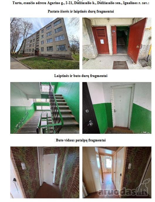 Ignalinos r. sav., Didžiasalio k.