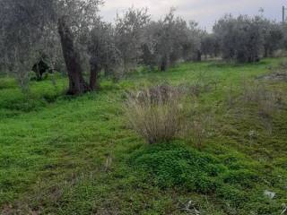 Itea,  GR