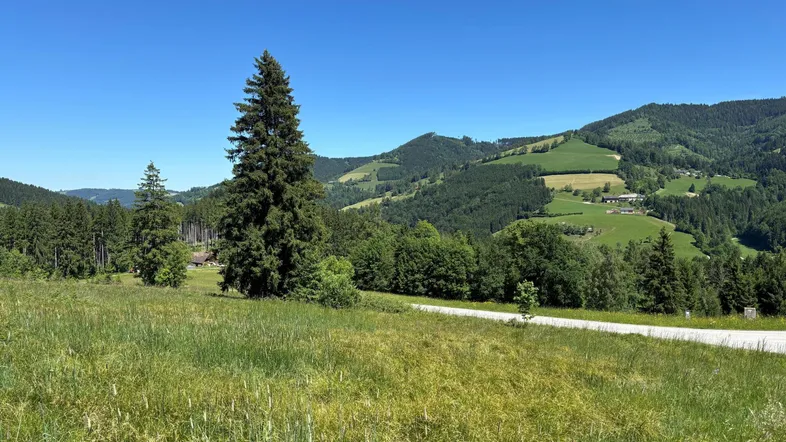 4562 Steinbach am Ziehberg