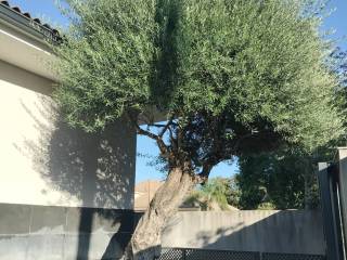 Jerez de la Frontera,  ES