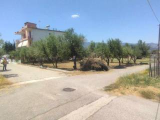 Spercheiada,  GR