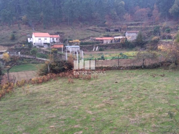 Cinfães,  PT