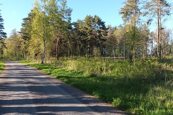 plot for sale, residential land - Kalvi, Viru-Nigula vald, Lääne-Virumaa