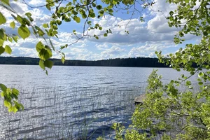 Havuniementie 84, Toisvesi, Virrat