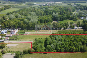Leśna