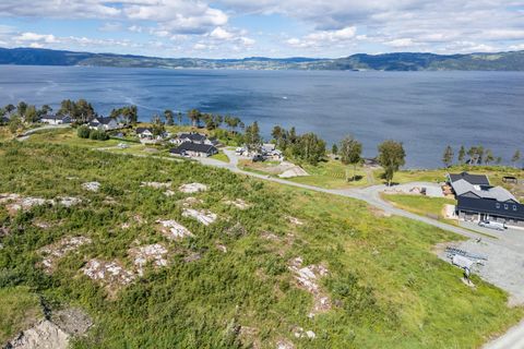 Hyttetomt Fånestangen, Frosta