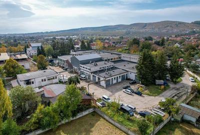 Exterior Est, Sfântu Gheorghe