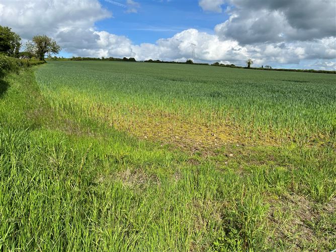 Alexanderaide, Navan, Meath