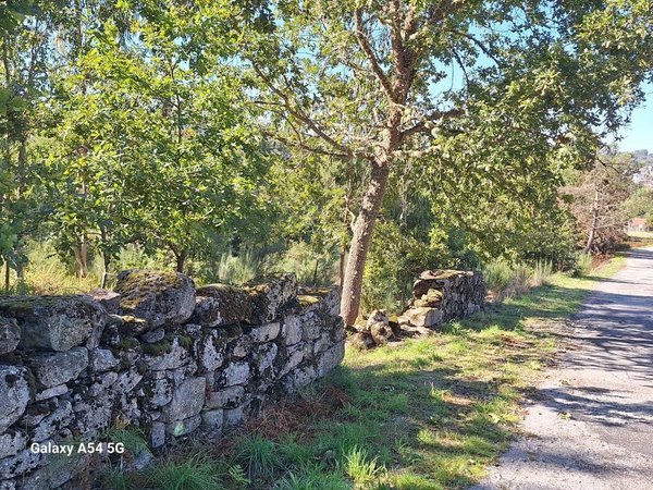 Vila Cova à Coelheira,  PT