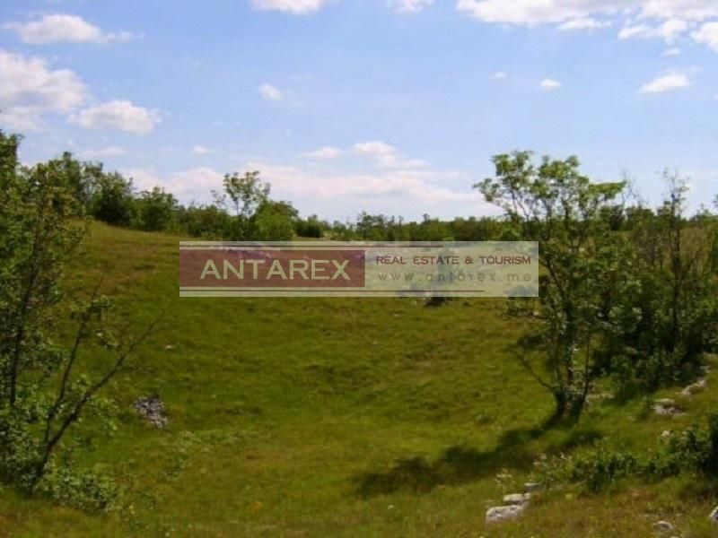 Central Region, Niksic