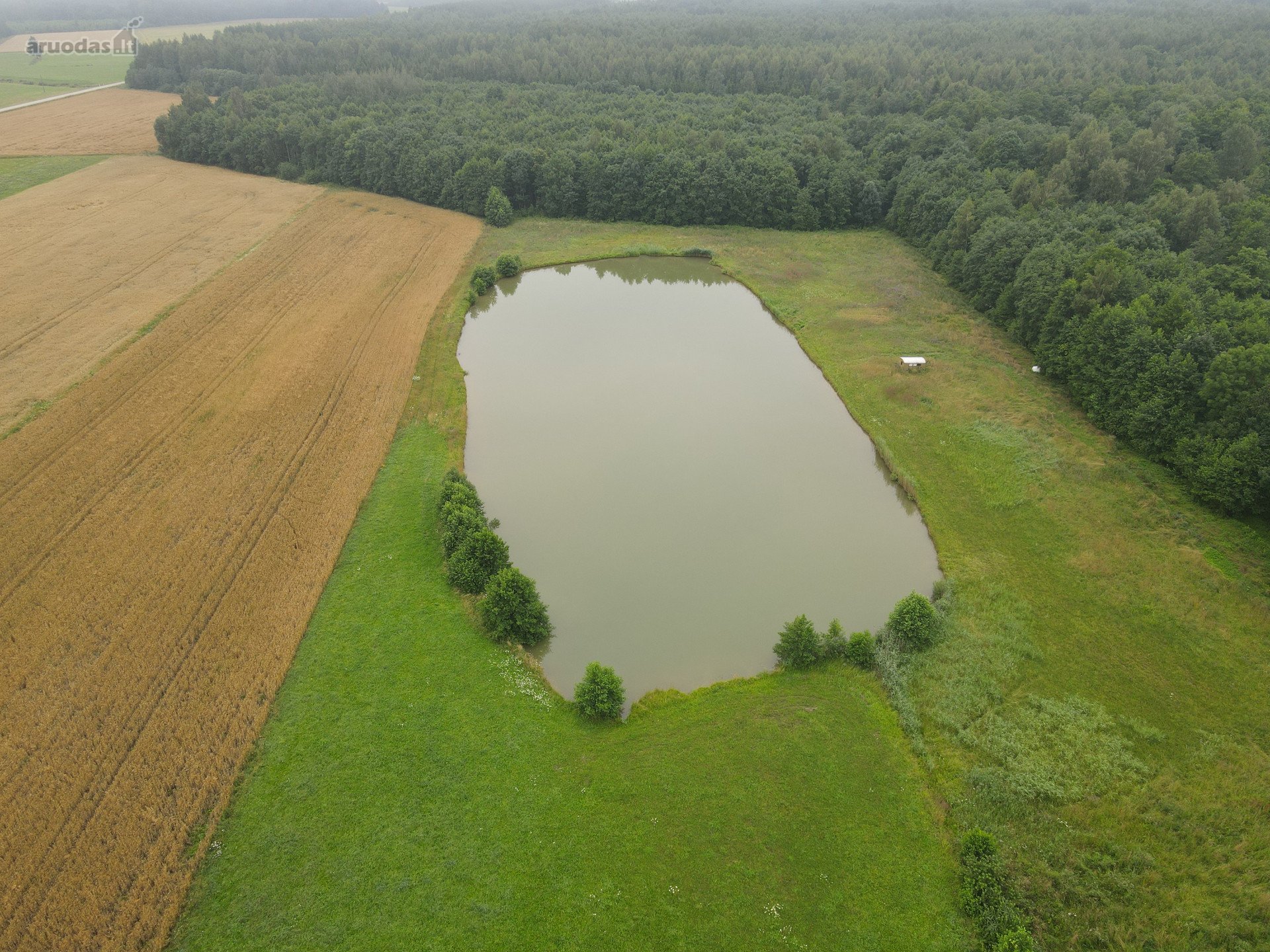 Jurbarko r. sav., Gricių k. Parko g.