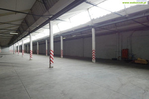 Tomaszów Mazowiecki