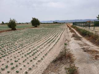 Lorca,  ES