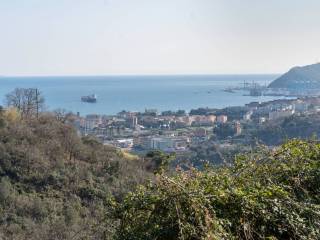 Savona,  IT