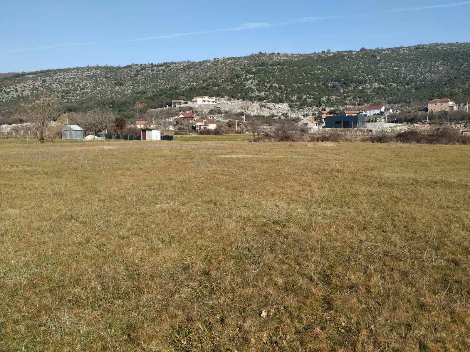 Podgorica, Beri