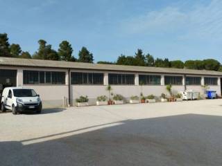 Civitanova Marche,  IT