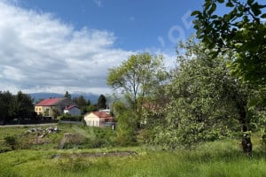 Jelenia Góra