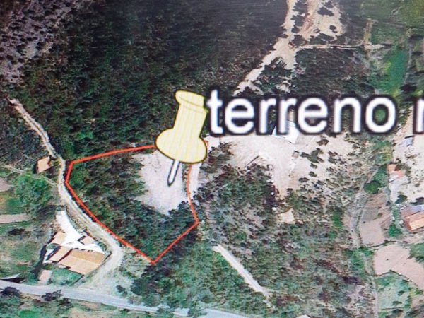 Pampilhosa da Serra,  PT
