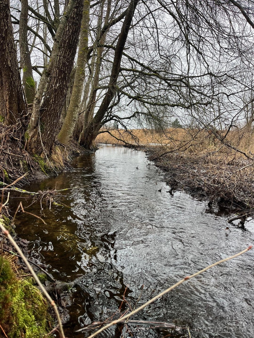 Molėtų r. sav. Užtilčių k.