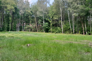Owczarnia