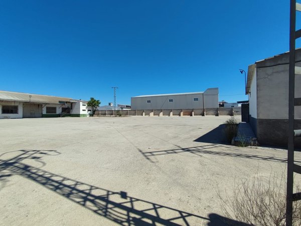 Jumilla,  ES