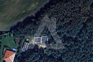 Sicienko