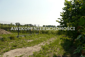 Skierniewice