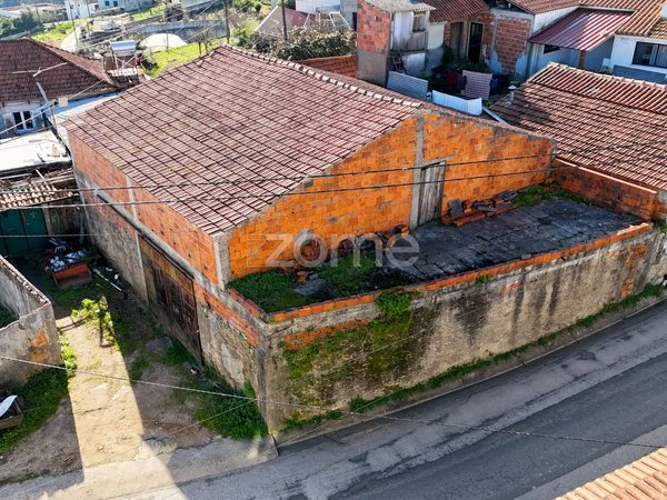 Miranda do Corvo,  PT