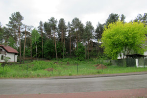 Klonowa