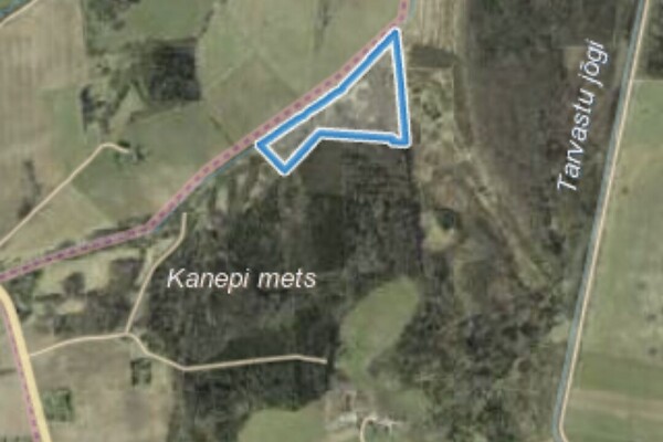 plot for sale, land-profit land - Sooviku, Viljandi vald, Viljandimaa