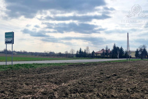 Sokolniki