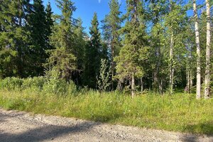 Tapiolantie 7, 93600 Kuusamo
