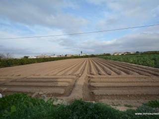 Orihuela,  ES