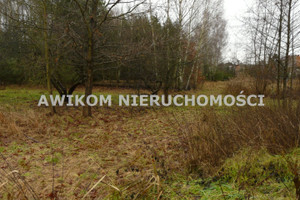Skierniewice