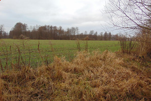 Zielona Góra
