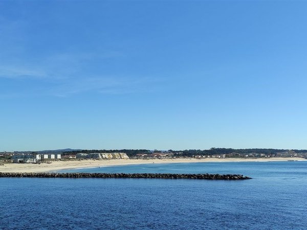 Árvore,  PT