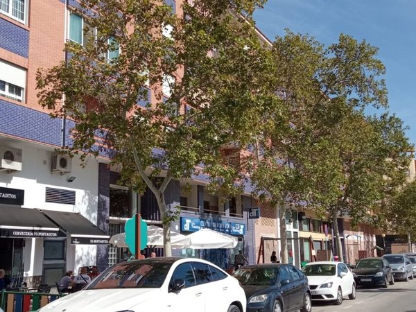Jumilla,  ES