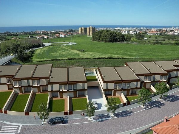 Árvore,  PT