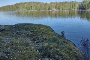 Avokidanniemen tie, Pistohiekka, Puumala