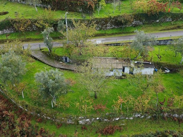 Oliveira,  PT